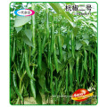 Hybrid Hot Dark Green Sharp Pepper Seed-Hangzhou Pepper No.2